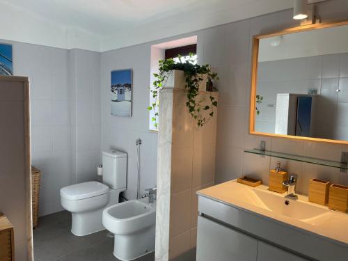 a bathroom with a toilet and a sink and a mirror at Santa Cruz Beach House in Areias