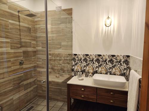 La salle de bains est pourvue d'un lavabo et d'une douche. dans l'établissement Wishford Cottage on Worcester, à Grahamstown