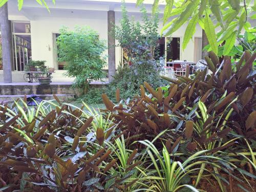 Κήπος έξω από το Belombre River Villa