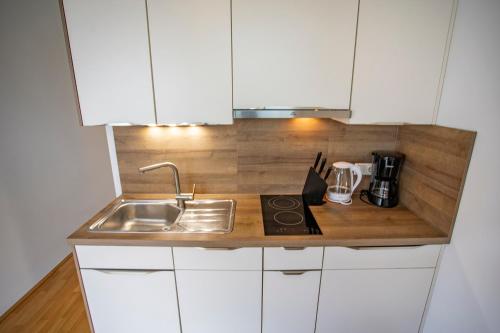 eine Küche mit einer Spüle und einer Arbeitsplatte in der Unterkunft Modern Innsbruck Apartment I Free Parking in Innsbruck