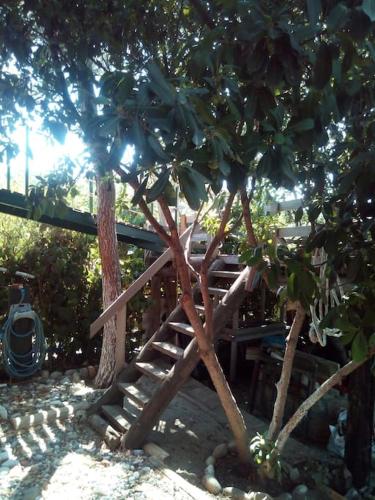 Κήπος έξω από το SOULIS GUESTHOUSE