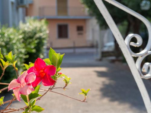 a red flower on a branch next to a bench at Villa Paestum in Paestum