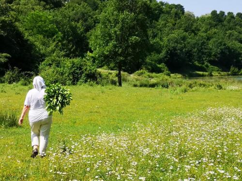 a woman walking through a field with a bunch of flowers at Meti Guest House in Krujë