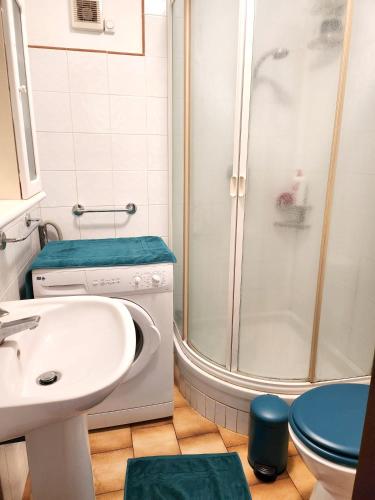 une salle de bain avec une douche, un lavabo et des toilettes dans l'établissement Maison confortable à Rogliano avec terrasse et jardin, à Rogliano