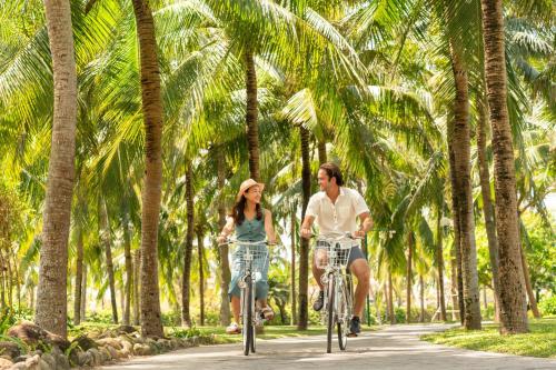峴港的住宿－Danang Marriott Resort & Spa，两个人骑着自行车沿着棕榈树的道路行驶