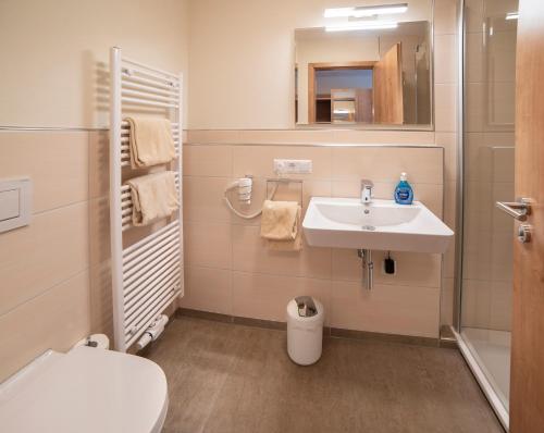 a bathroom with a sink and a toilet at Gasthaus zum Stern in Gollhofen