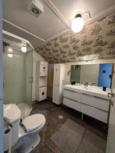 a bathroom with a toilet and a sink and a mirror at Oslo House, Nedre Kjellerstuvei, First floor, Twin Room in Lillestrøm