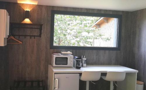 a kitchen with a counter with a microwave and a window at Les INSOLITES DE LA TOUCHE in Azay-le-Rideau