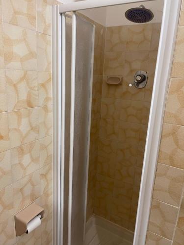 y baño con ducha y puerta de cristal. en Albergo Civico 7, en Leno