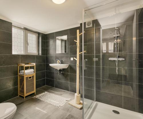 een badkamer met een douche, een toilet en een wastafel bij Verstopt, midden in het centrum van Enschede! in Enschede