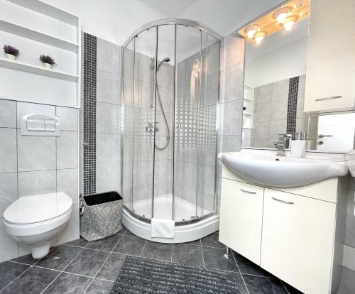 a bathroom with a shower and a toilet and a sink at Apartments Gajeta in Povile