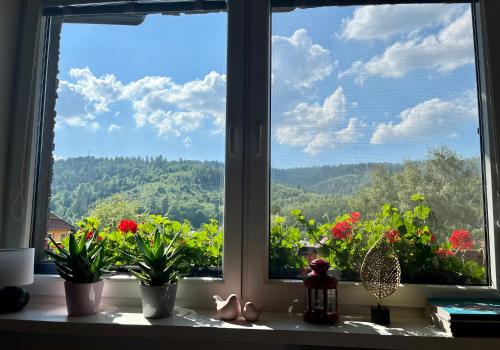 a window with potted plants on a window sill at BERUŠKA Apartmán in Oščadnica