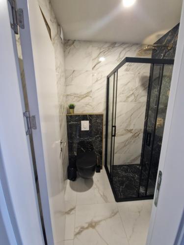 ein Bad mit WC und Marmorwänden in der Unterkunft Victoria Apartments in Makarska