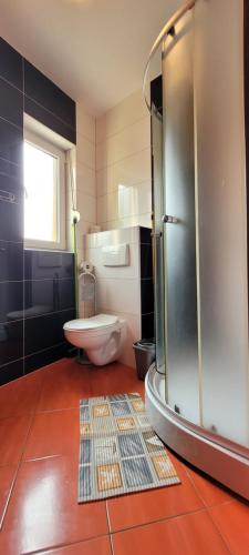 a bathroom with a toilet and a glass shower at Ulubiona in Pobierowo