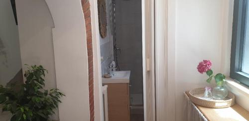 a bathroom with a sink and a toilet in a room at IL GIARDINETTO di Dilyana in Monterosi