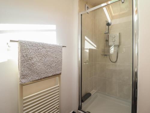 a shower with a glass door in a bathroom at Llygoden Cottage in Caernarfon