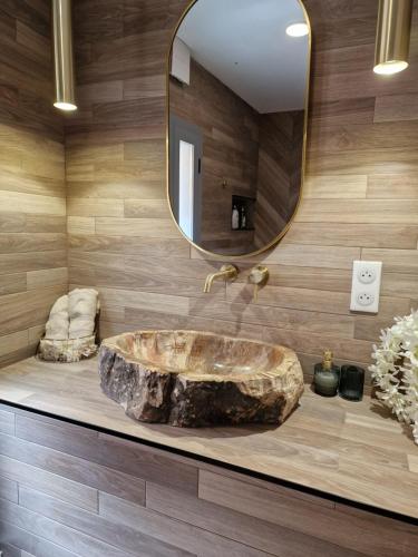 a bathroom with a large rock sink and a mirror at Laetitia in Bastia