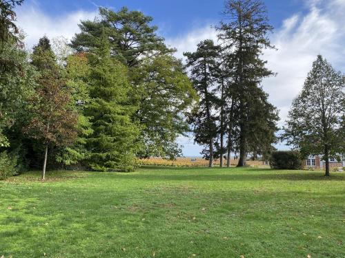 ein Grasfeld mit Bäumen im Hintergrund in der Unterkunft Manoir de Villamont in Savigny-lès-Beaune