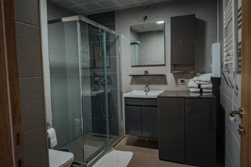 a bathroom with a glass shower and a sink at Sky Deluxe 3 Fitness & Spa in Skopje