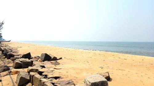 Cherai Beach Valley – Photos 2