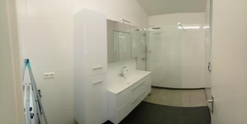 a white bathroom with a sink and a shower at Domstad Resort Utrecht Vakantiewoningen in Utrecht