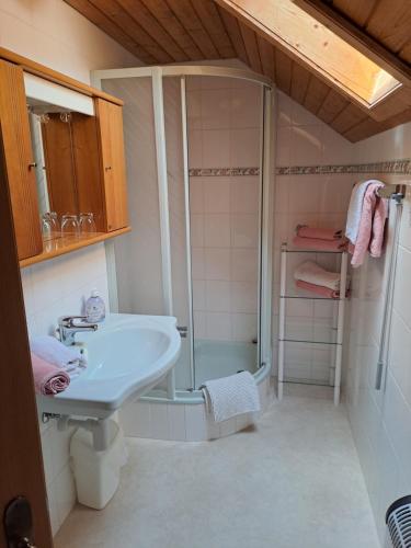 ein Bad mit einer Dusche und einem Waschbecken in der Unterkunft Ferienhaus Sapplerhof in Millstatt