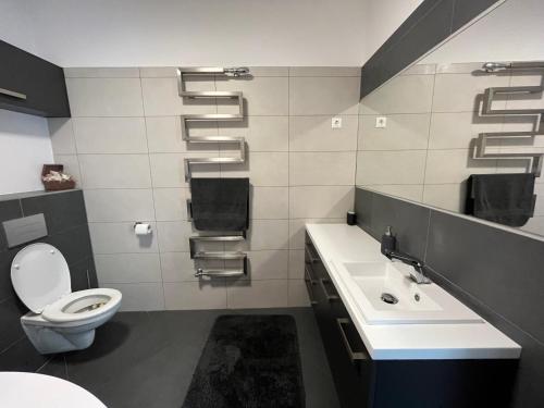 a bathroom with a toilet and a sink at Bagoly Apartman in Eger
