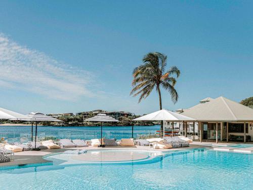 einen Pool mit Stühlen, Sonnenschirmen und einer Palme in der Unterkunft Novotel Sunshine Coast Resort in Twin Waters