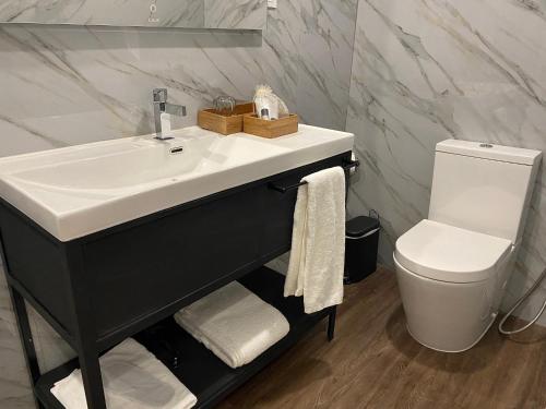 a bathroom with a sink and a toilet at DOURO B&B Avenida in Resende