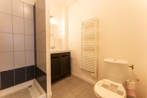 une salle de bains avec toilettes, douche et lavabo dans l'établissement Studio tout confort au Ventoux, à Malaucène