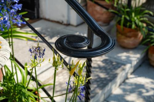 a black hose is attached to a plant holder at The Bramley House Hotel in Chatteris