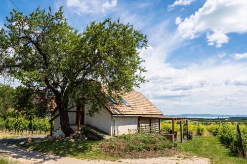 a house in a field with a tree at Tagyon Birtok Mandula Apartmanház in Tagyon