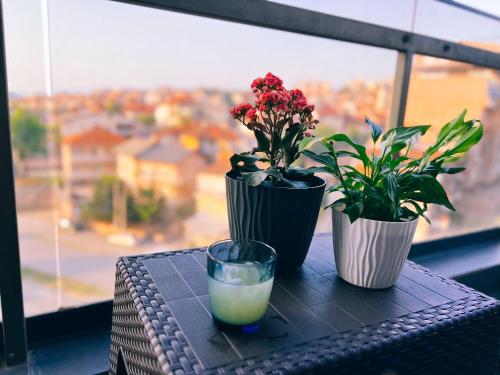 The Trendy Terrace في ستيب: ثلاث نباتات ومشروب على طاولة مع نافذة
