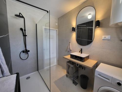a bathroom with a shower and a sink and a mirror at Red Hill apartment in Zaboric