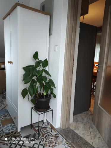 Fotografie z fotogalerie ubytování Apartman Lucia v destinaci Bilice