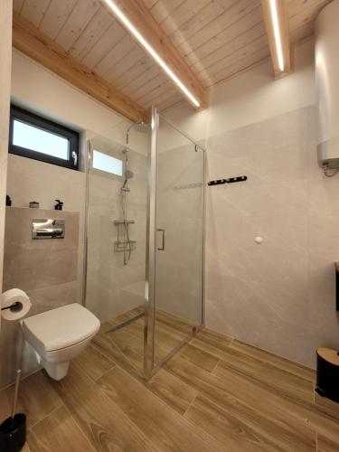 bagno con box doccia e servizi igienici. di Słoneczne Domki Lubkowo a Lubkowo