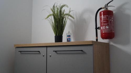 a fire extinguisher on top of a cabinet with a plant at Pokoje do wynajęcia in Tomaszów Mazowiecki