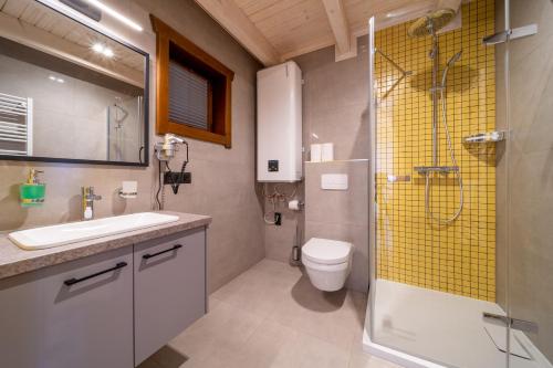 a bathroom with a shower and a toilet and a sink at Górskie Wytchnienie Michałowice in Piechowice