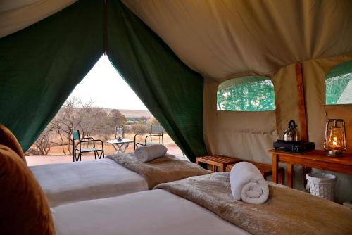 a group of beds in a tent with a view at Bezhoek Tented Camp in Middelburg