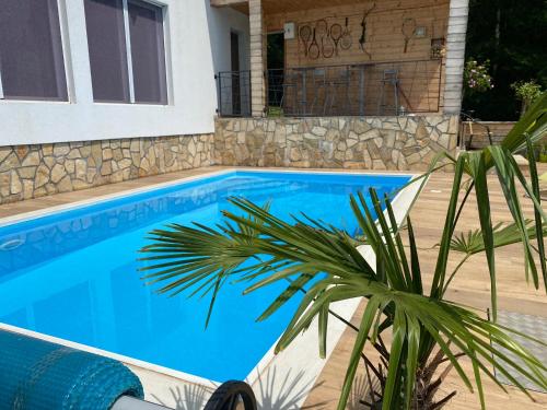 a swimming pool with a palm tree in front of a house at Vila GUŠT in Zlatibor