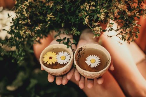 two hands holding two bowls with flowers on them at "Parko vila" Anykščiai in Anykščiai