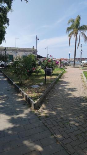 une rue avec des arbres et des plantes sur un trottoir dans l'établissement La Casetta Bianca Vicino Mare, à Vibo Valentia Marina