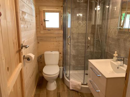 a bathroom with a toilet and a shower and a sink at Modrzewiowe Zacisze in Chocieszow