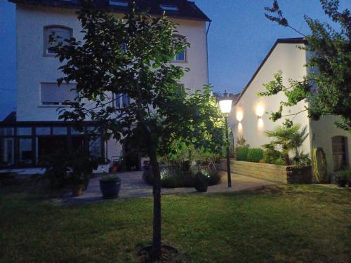 a tree in a yard in front of a house at Gästehaus Frevel in Münstermaifeld