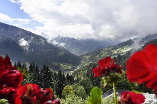a view of a mountain valley with red flowers at Ferienwohnung Frömlig in Silbertal