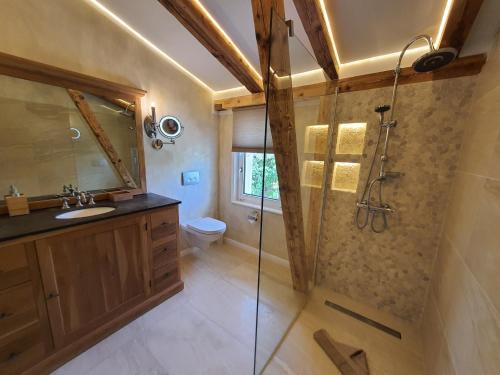 a bathroom with a shower and a sink at Ferienwohnung Kiebitz in Bastorf