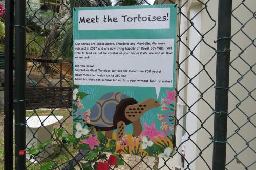 a sign on a fence that reads meet the tortoise at Royal Bay Villa and Apartment in Anse Royale
