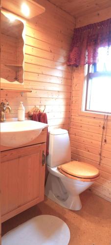 a wooden bathroom with a toilet and a sink at Cozy Cottage On The Golden Circle in Blaskogabyggd