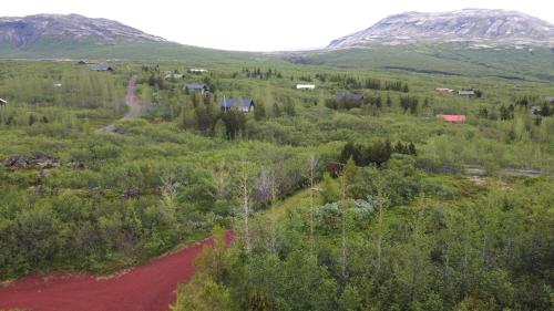 an aerial view of a forest with mountains in the background at Cozy Cottage On The Golden Circle in Blaskogabyggd