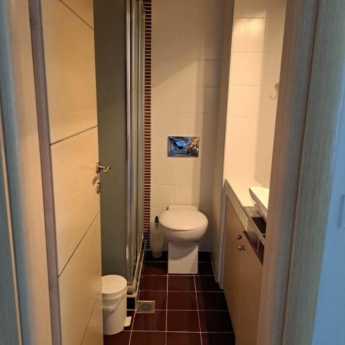 a small bathroom with a toilet and a sink at Apartment beside the sea in Hanioti